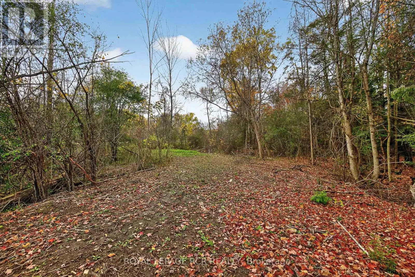 4560 ANDERSON ST STREET