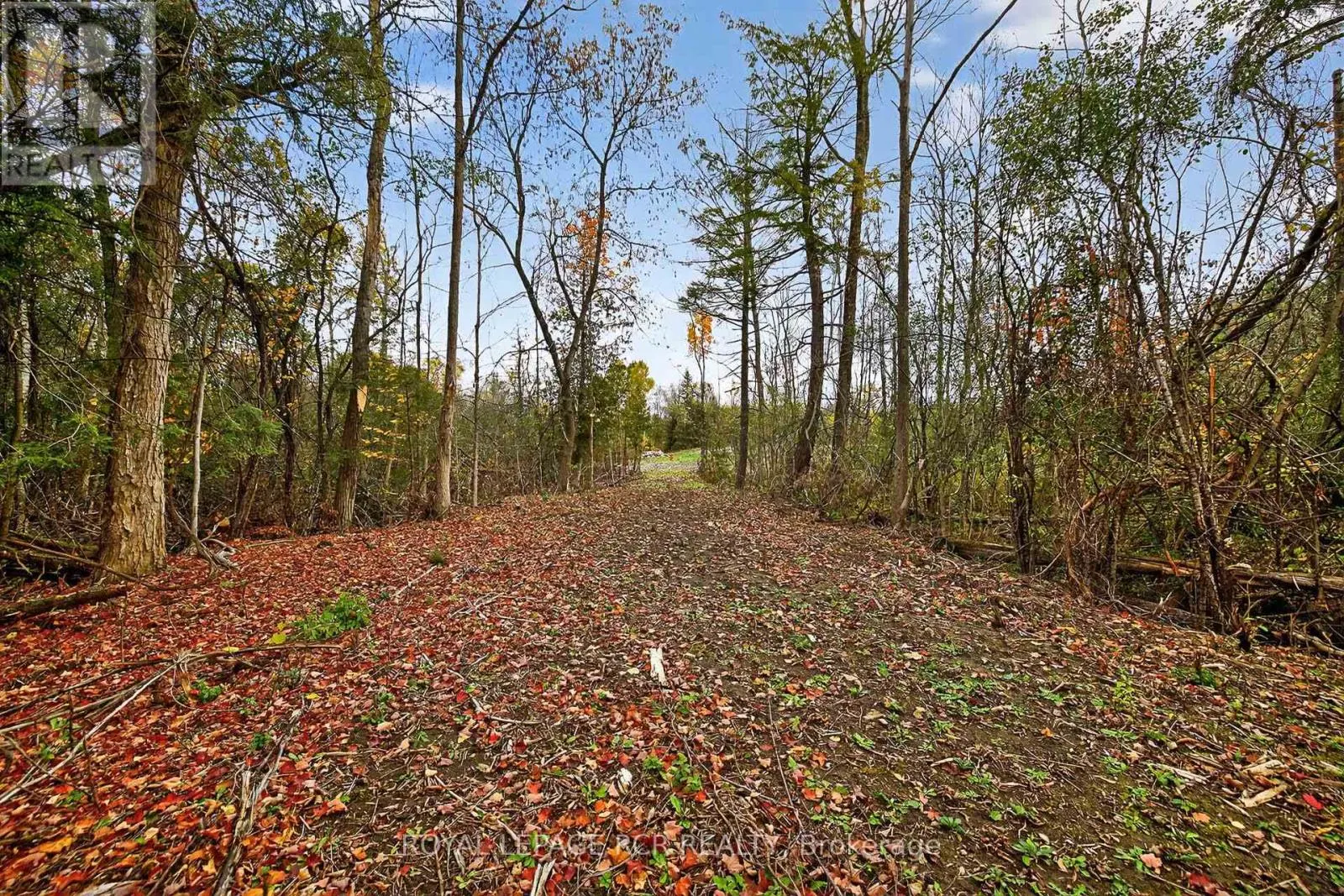 4560 ANDERSON ST STREET