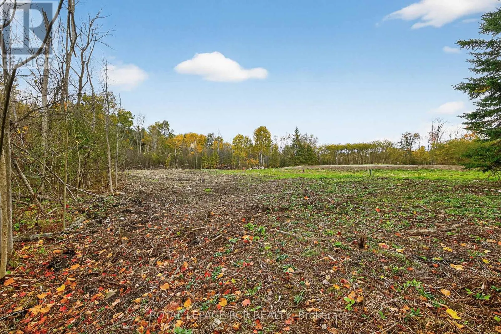 4560 ANDERSON ST STREET