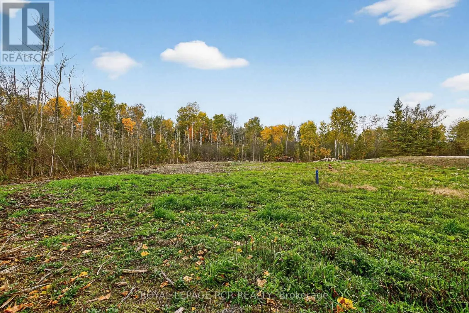 4560 ANDERSON ST STREET