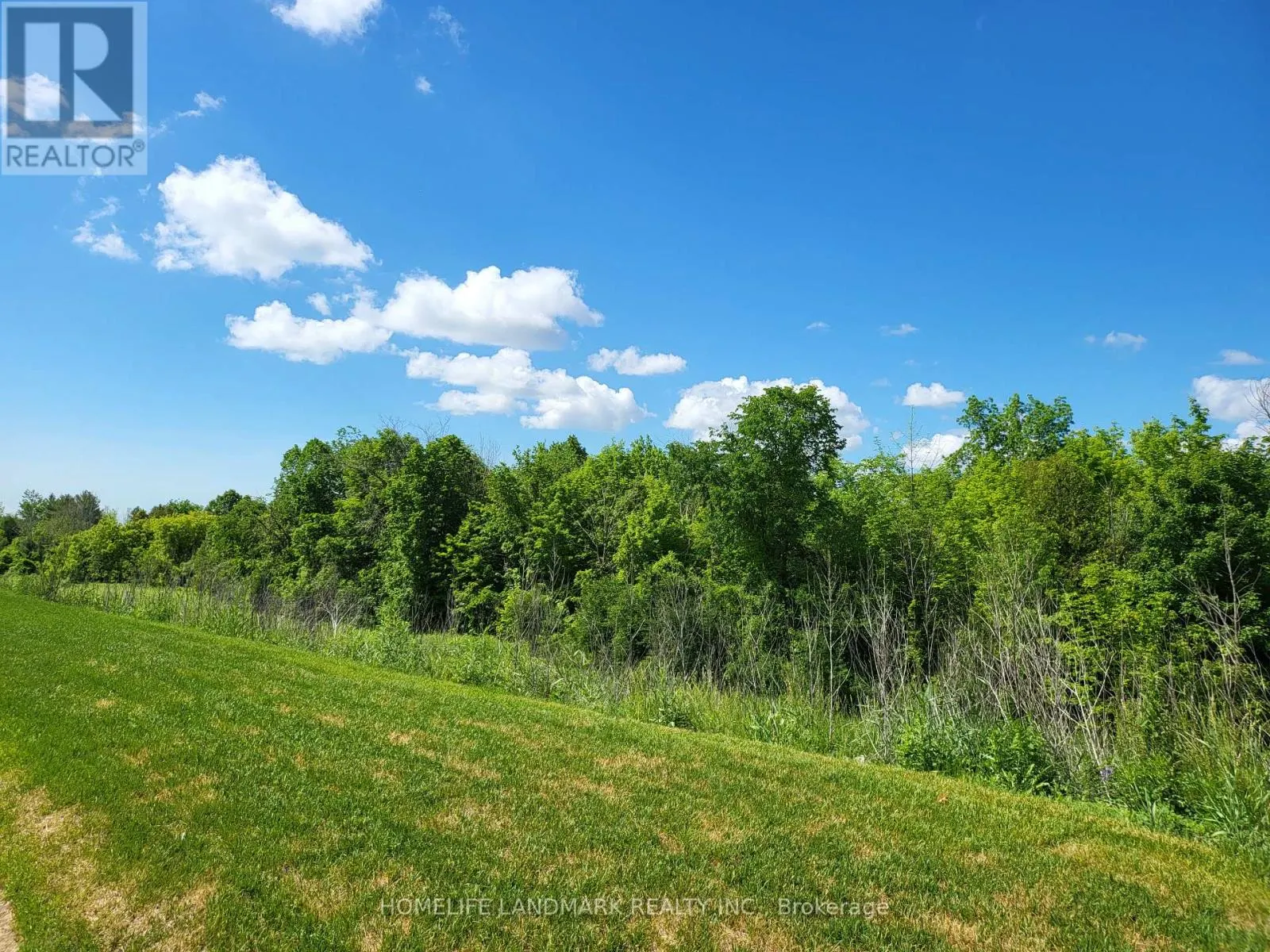 BSMT - 1015 KINGPEAK CRESCENT