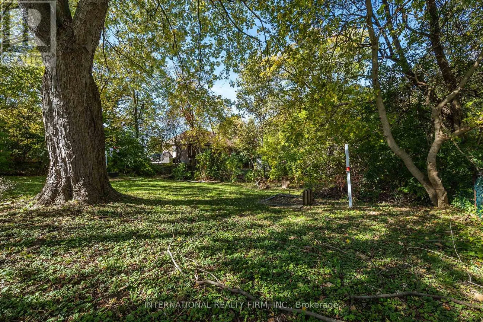 BASEMENT - 345 PARK ROAD S