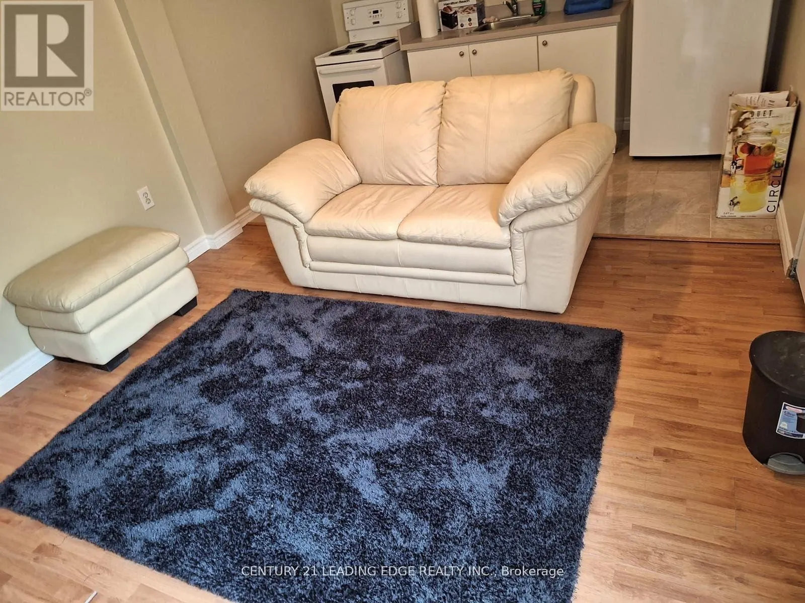 BASEMENT - 48 PERFITT CRESCENT