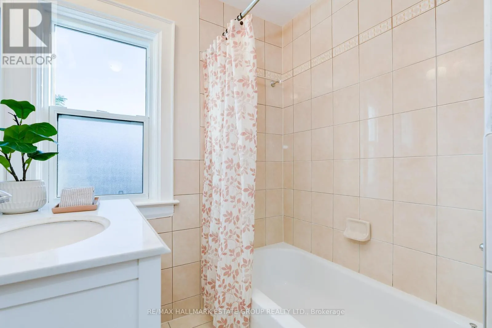 61 SPRINGDALE BOULEVARD