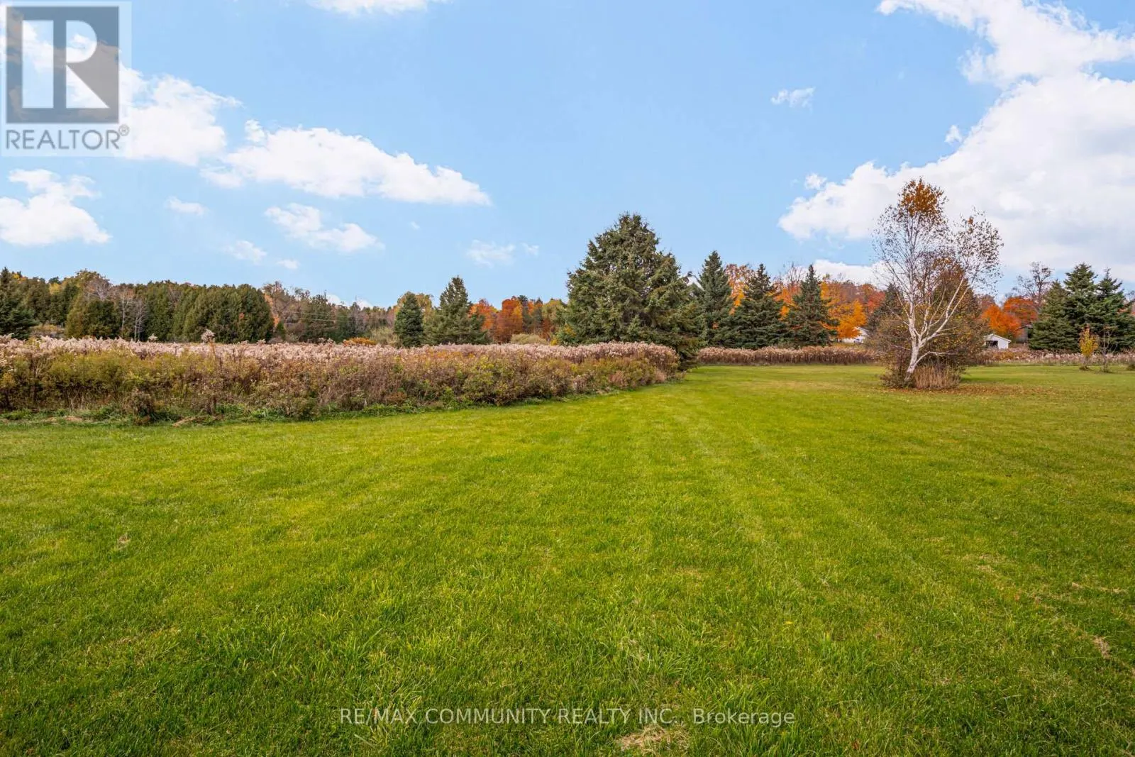 8 - 3504 CONCESSION ROAD