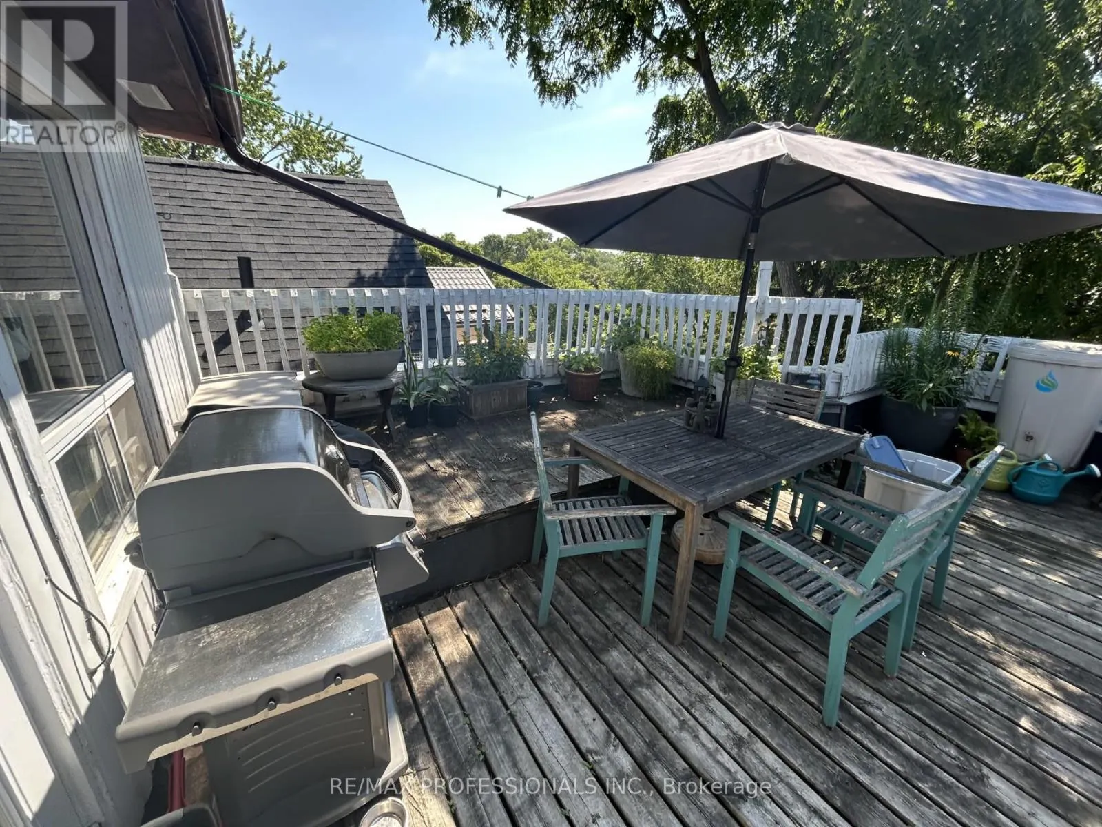 4 - 41 ALBERMARLE AVENUE