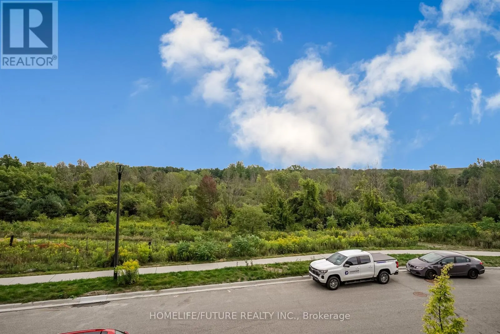 2626 DELPHINIUM TRAIL