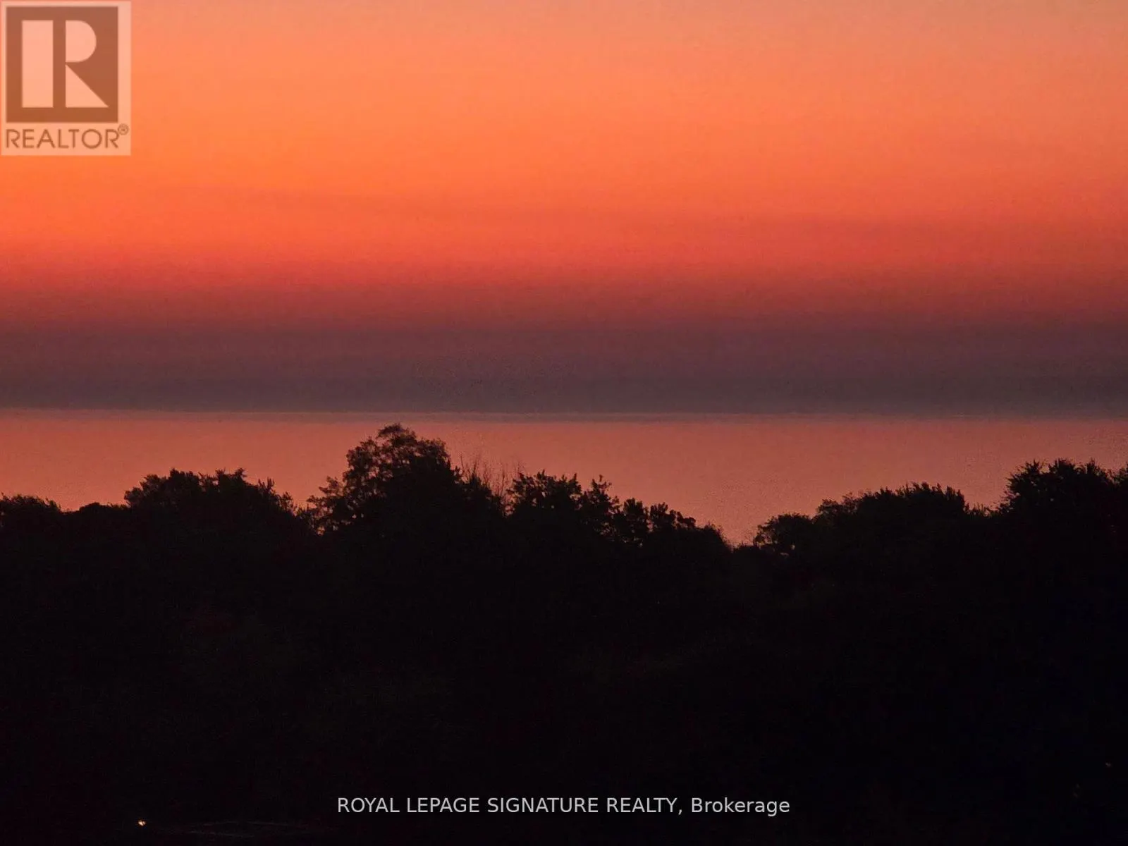 905 - 2799 KINGSTON ROAD