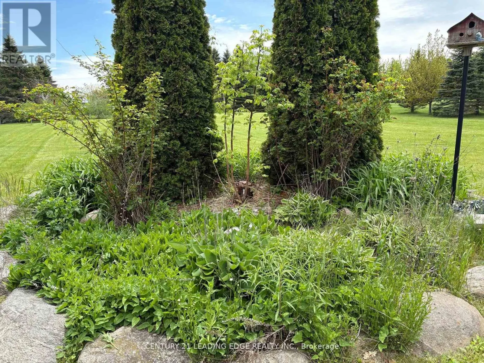(PART 1) - 7 CLYDE COURT