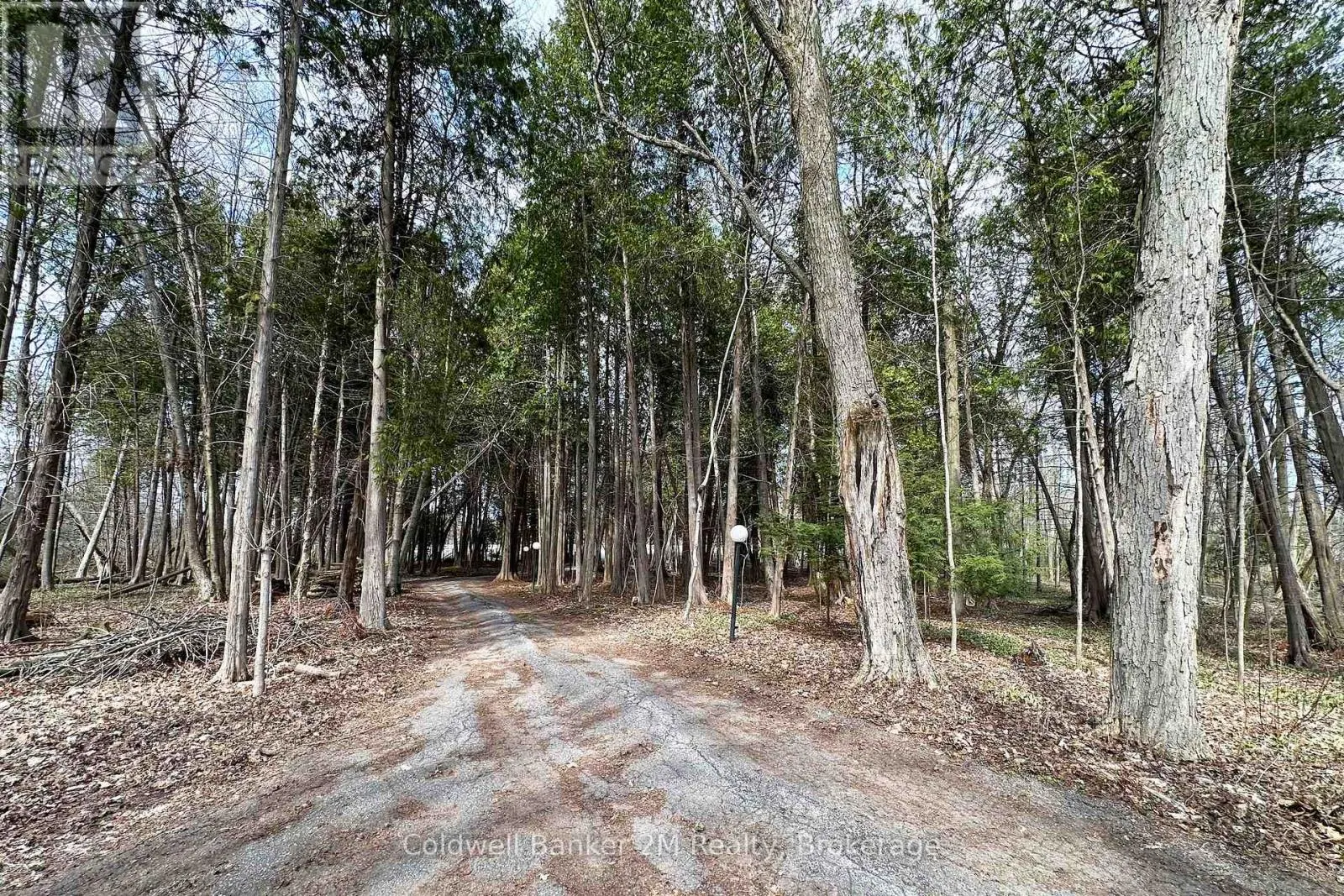 14900 REGIONAL RD 57