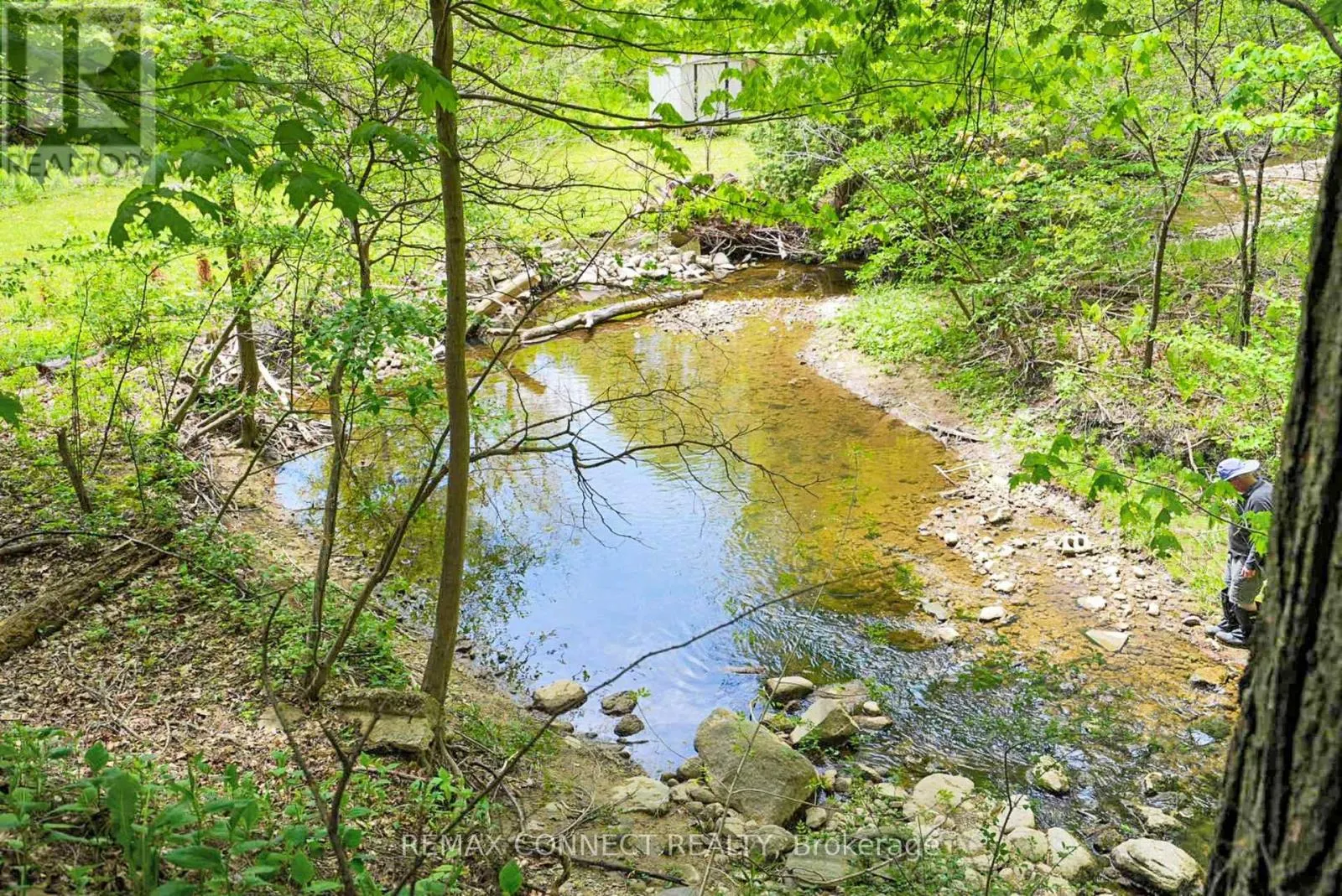 1436 HIGHBUSH TRAIL