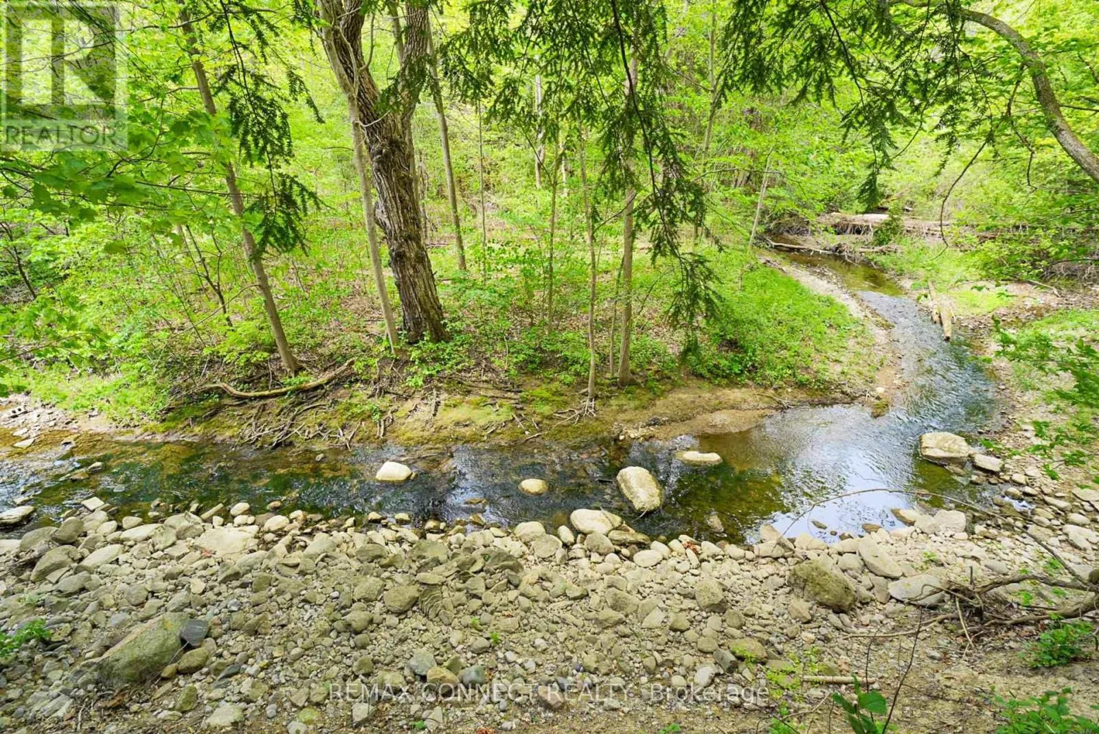 1436 HIGHBUSH TRAIL