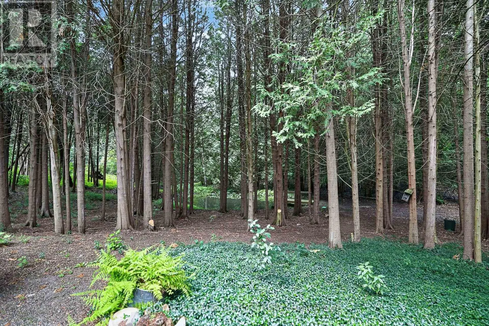 502 TOWNLINE ROAD