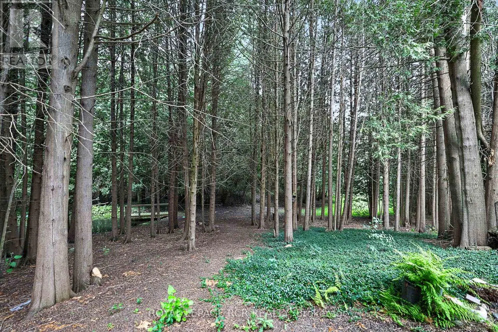 502 TOWNLINE ROAD