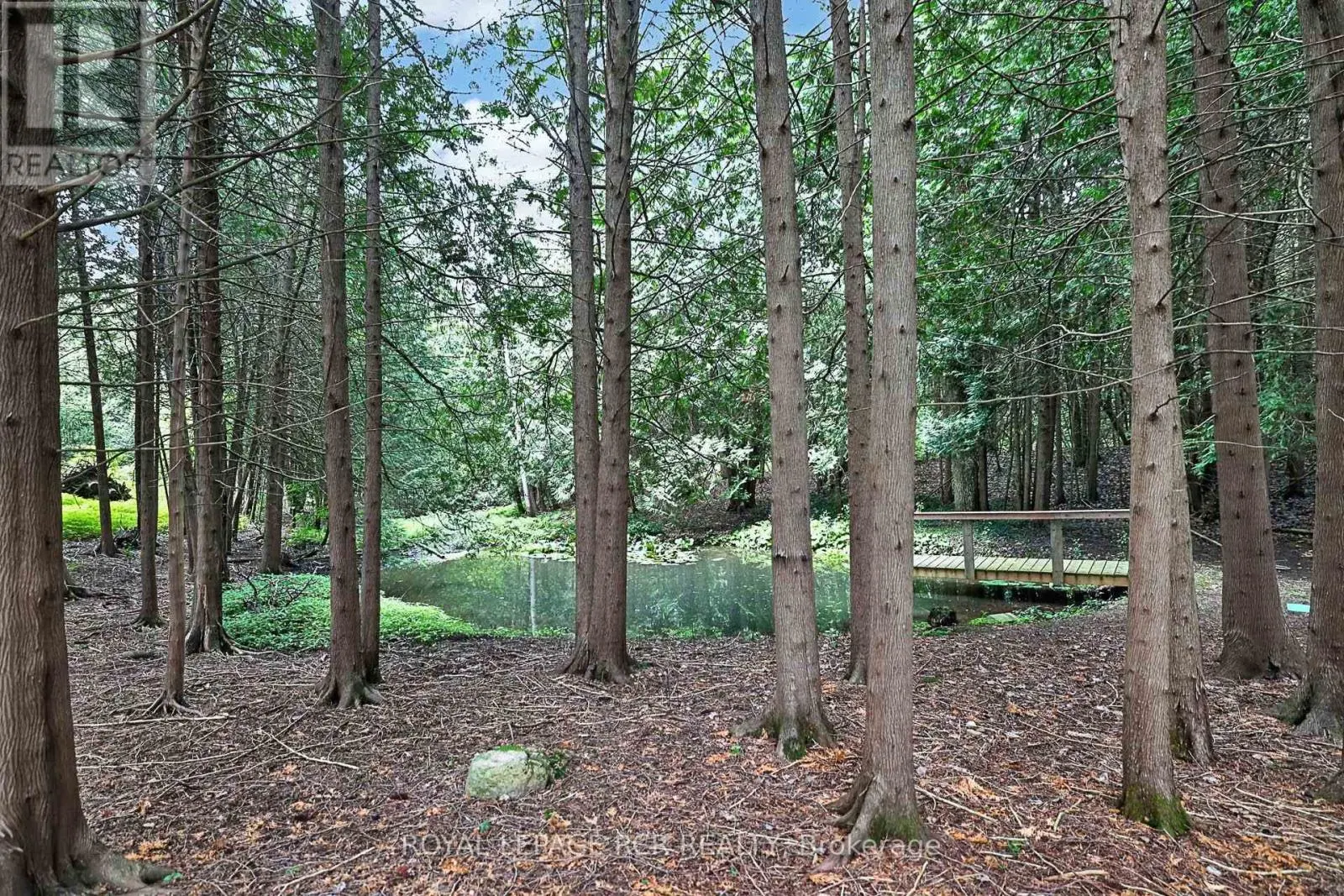 502 TOWNLINE ROAD