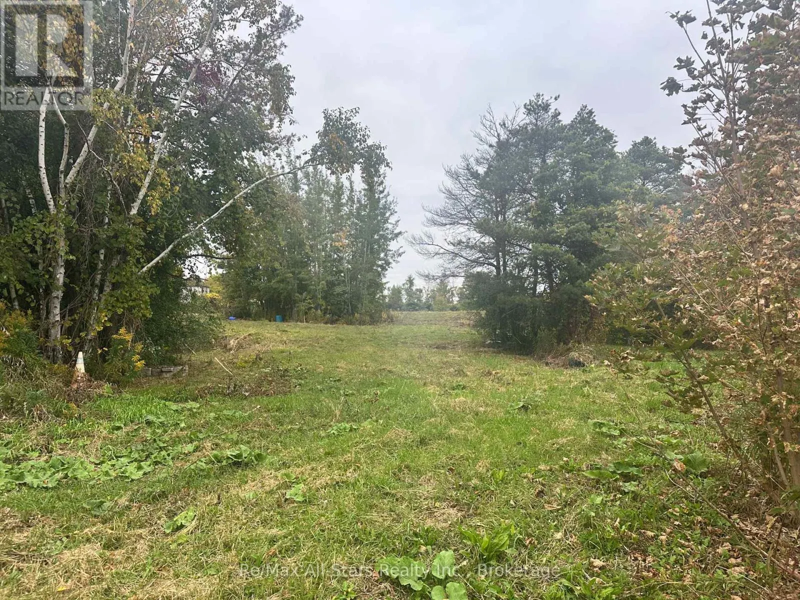 381 REGIONAL RD 21 ROAD