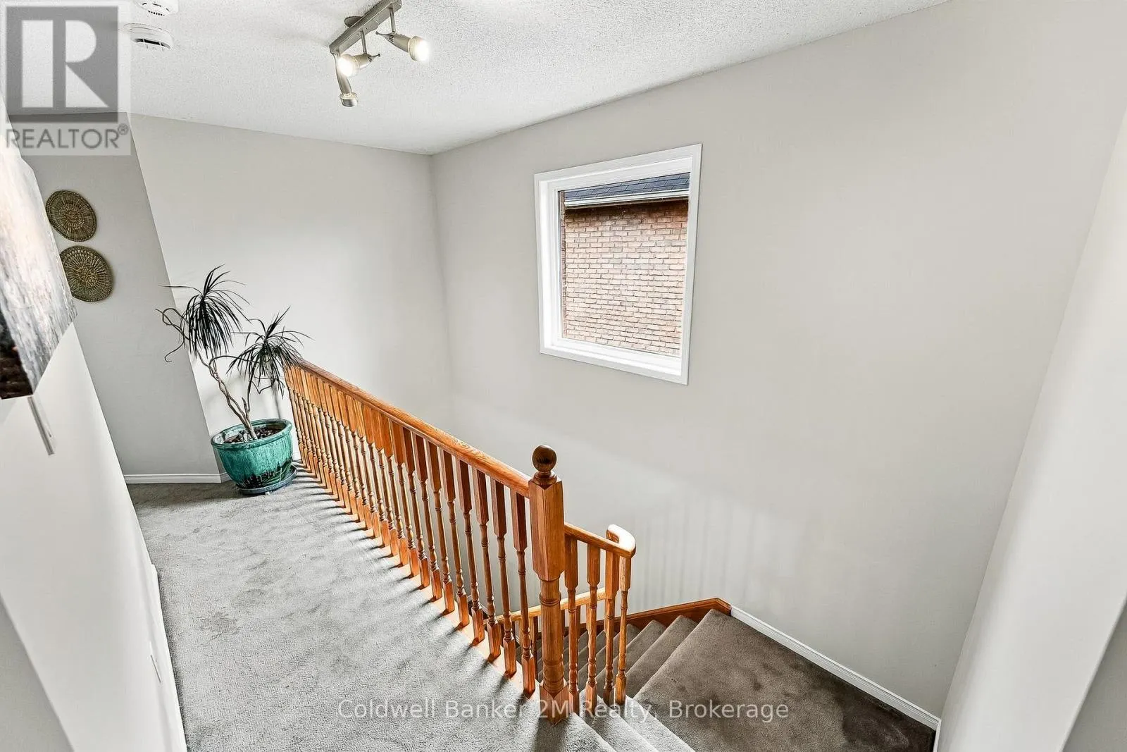 52 MARJORAM DRIVE