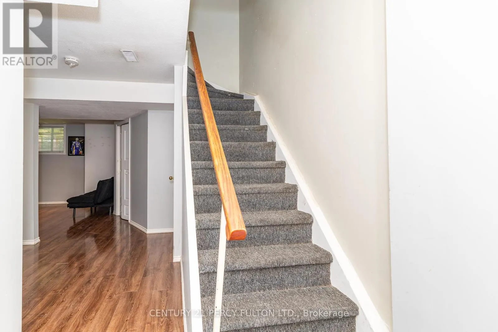557 COBBLEHILL DRIVE