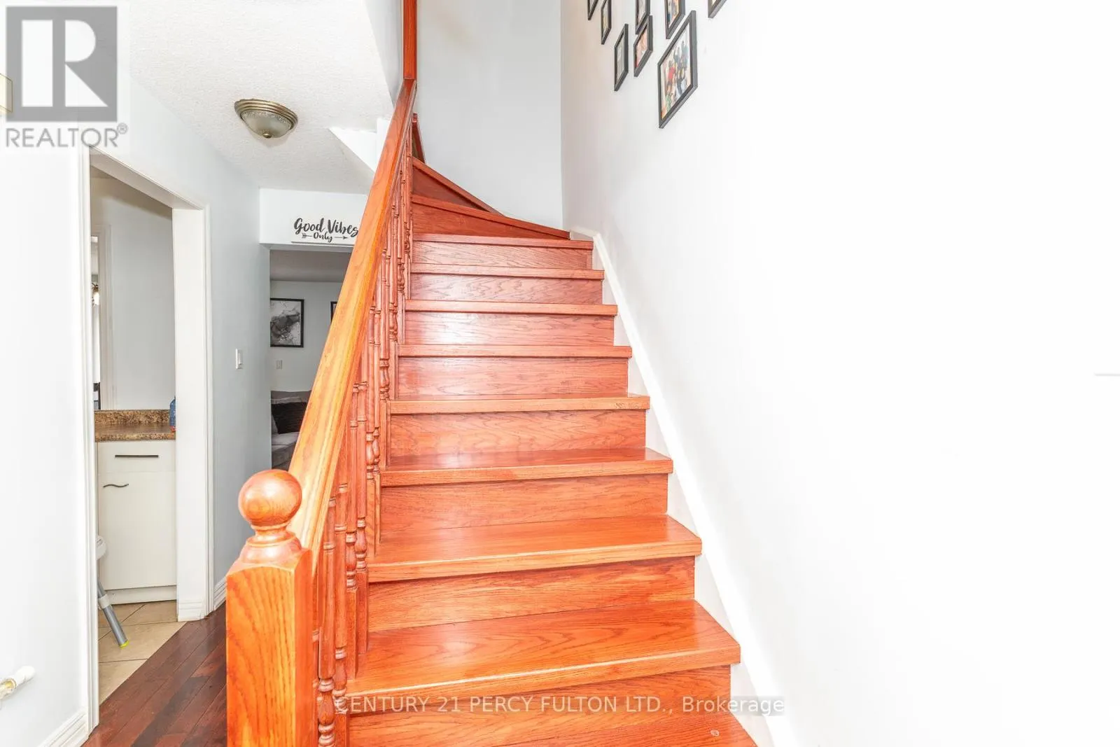 557 COBBLEHILL DRIVE