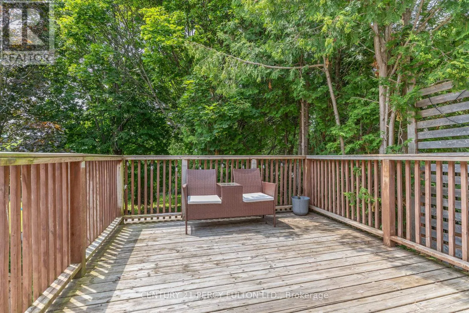 557 COBBLEHILL DRIVE
