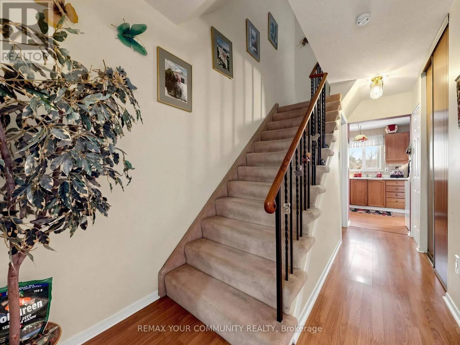 12 JACQUES LANE