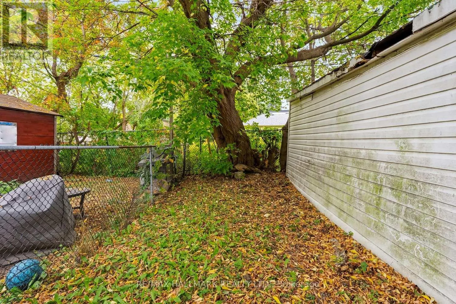 31 THORA AVENUE