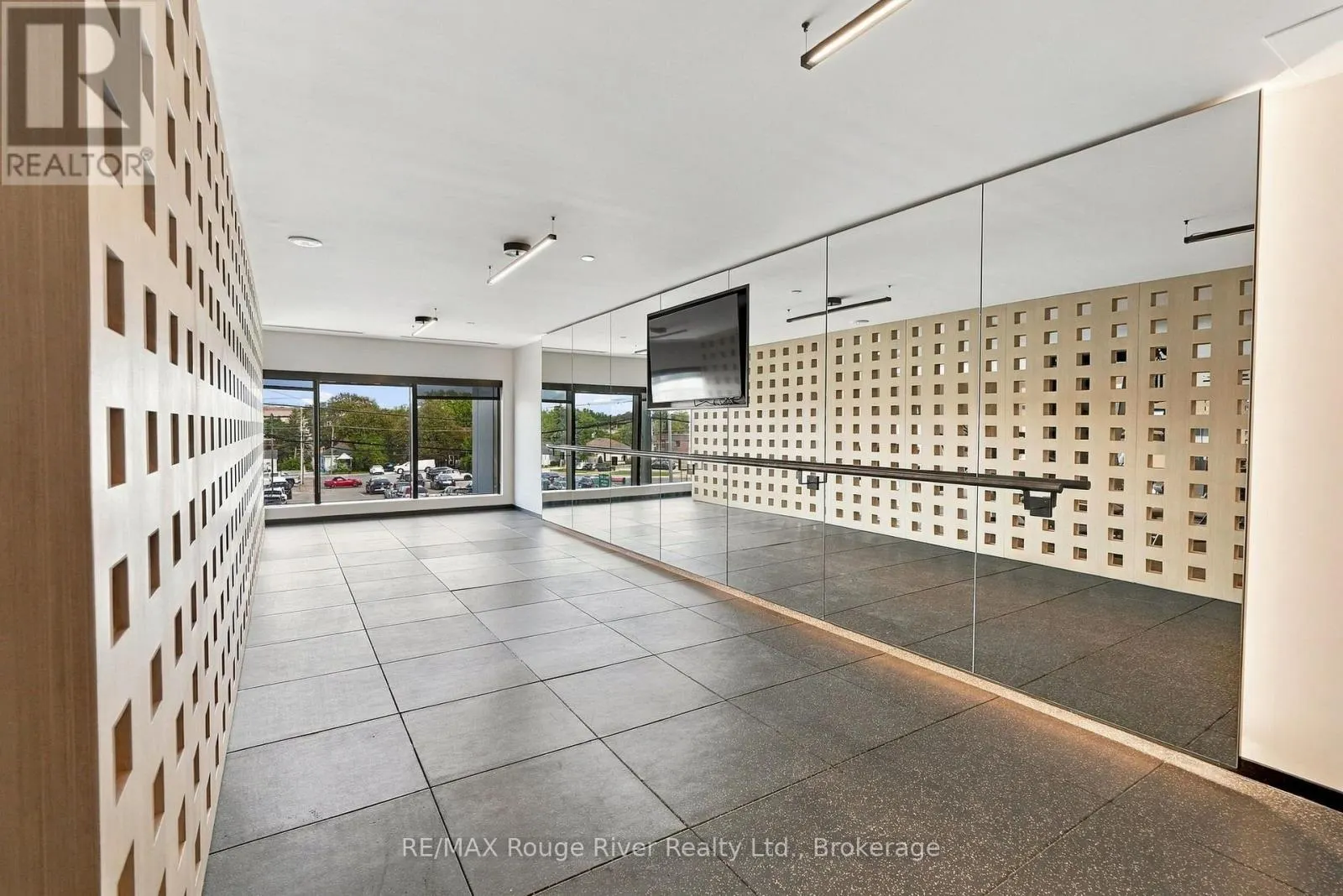 217 - 201 BROCK STREET S #217