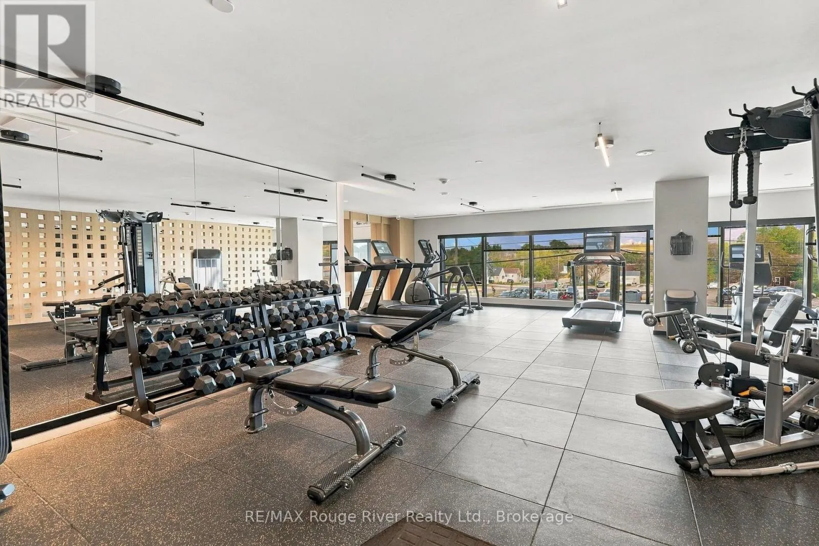 217 - 201 BROCK STREET S #217