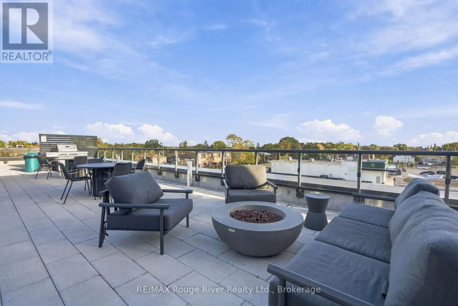 217 - 201 BROCK STREET S #217