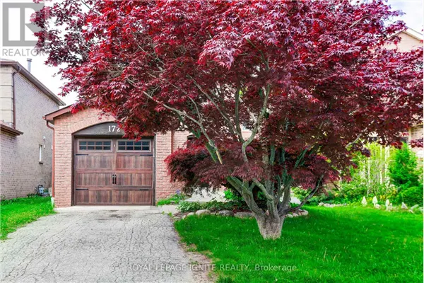 172 RADFORD DRIVE