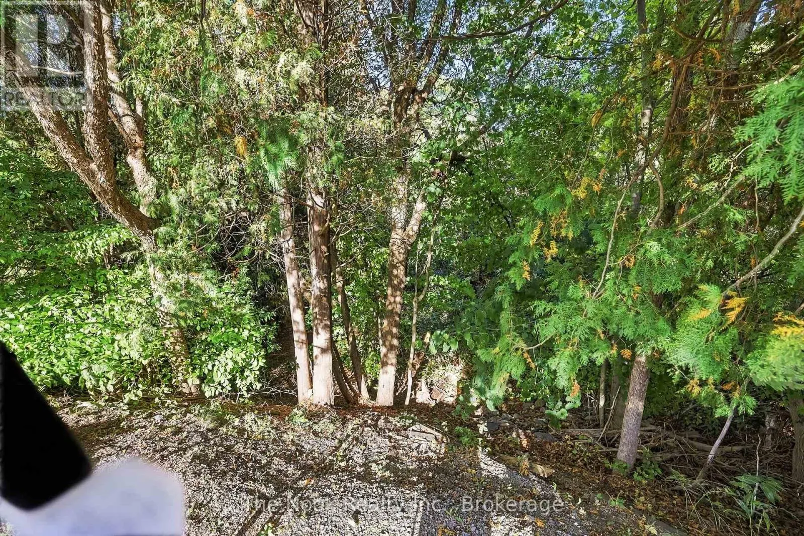 293 BRIGHTON COURT