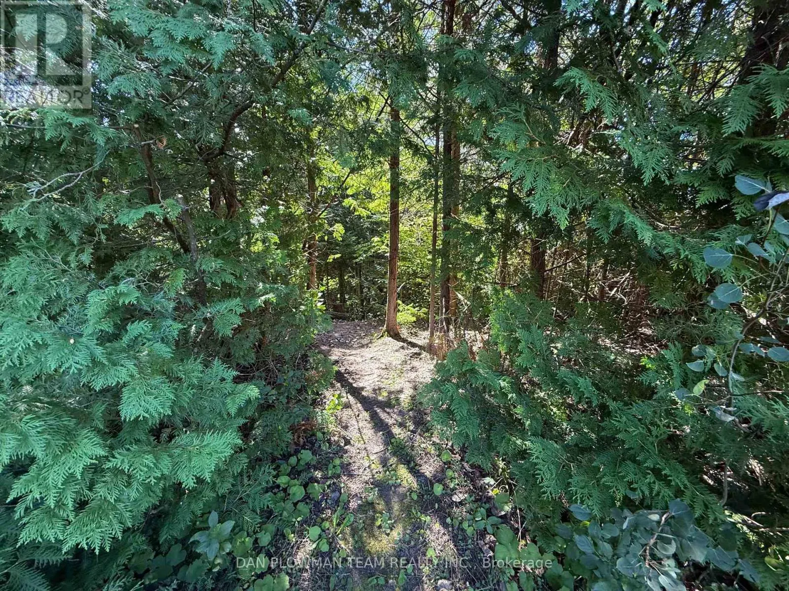 6458 GIBBS ROAD