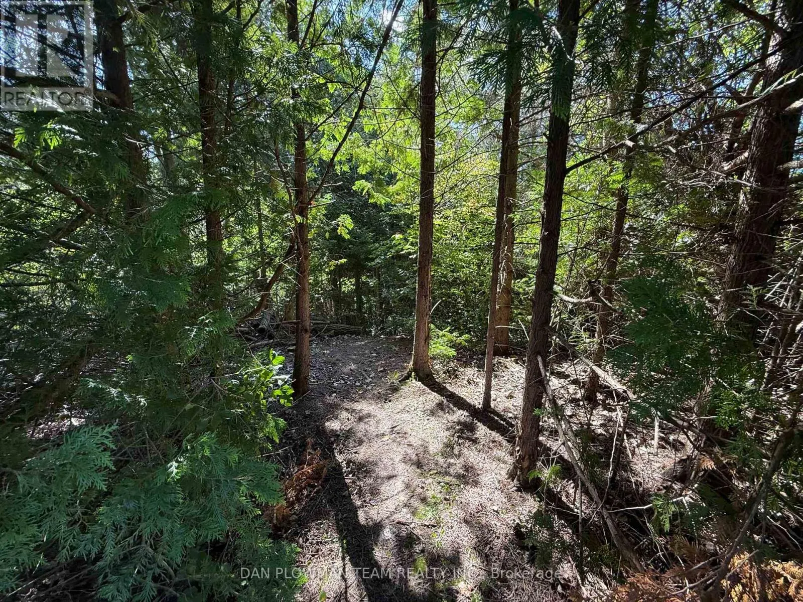 6458 GIBBS ROAD