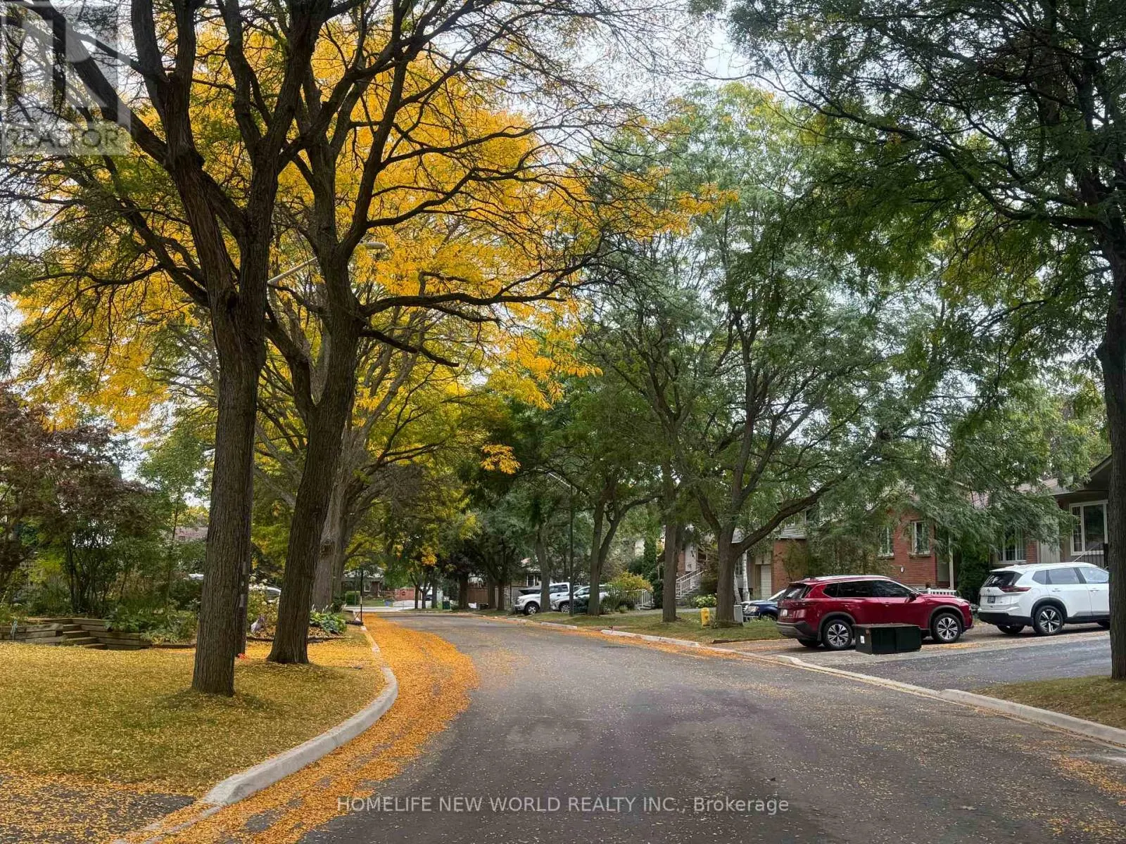 MAIN, LOWER - 12 JACOB DRIVE