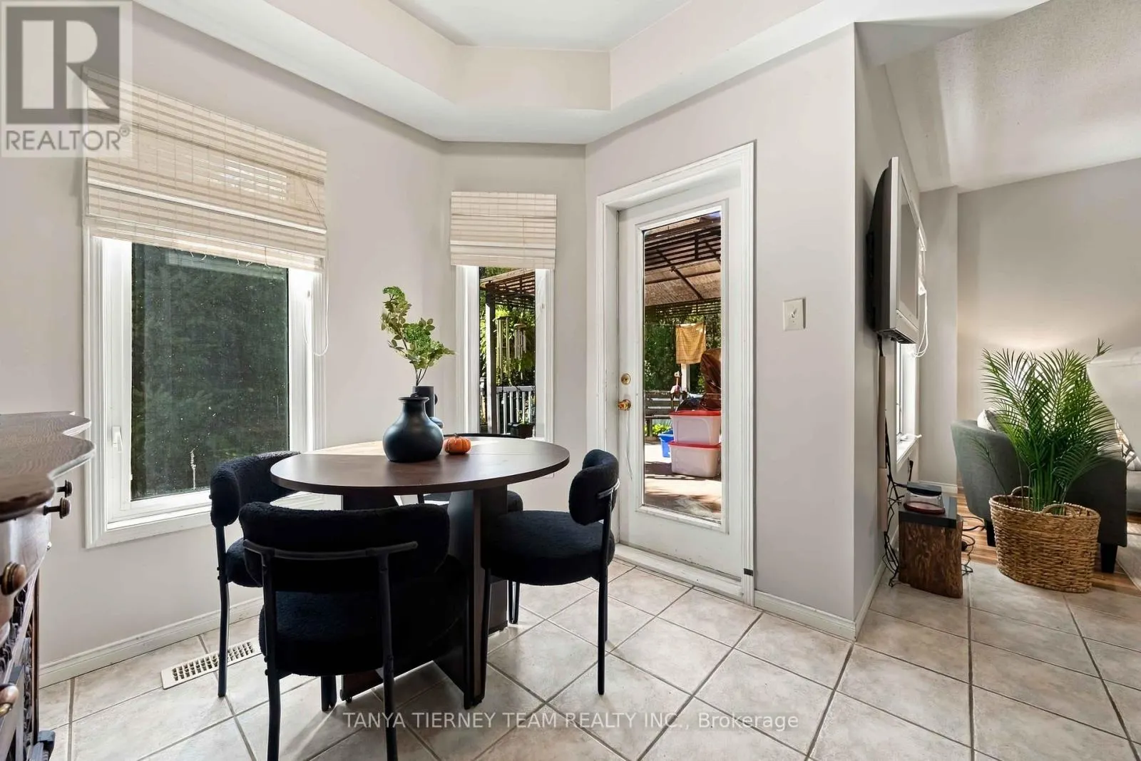 228 SHADOW PLACE