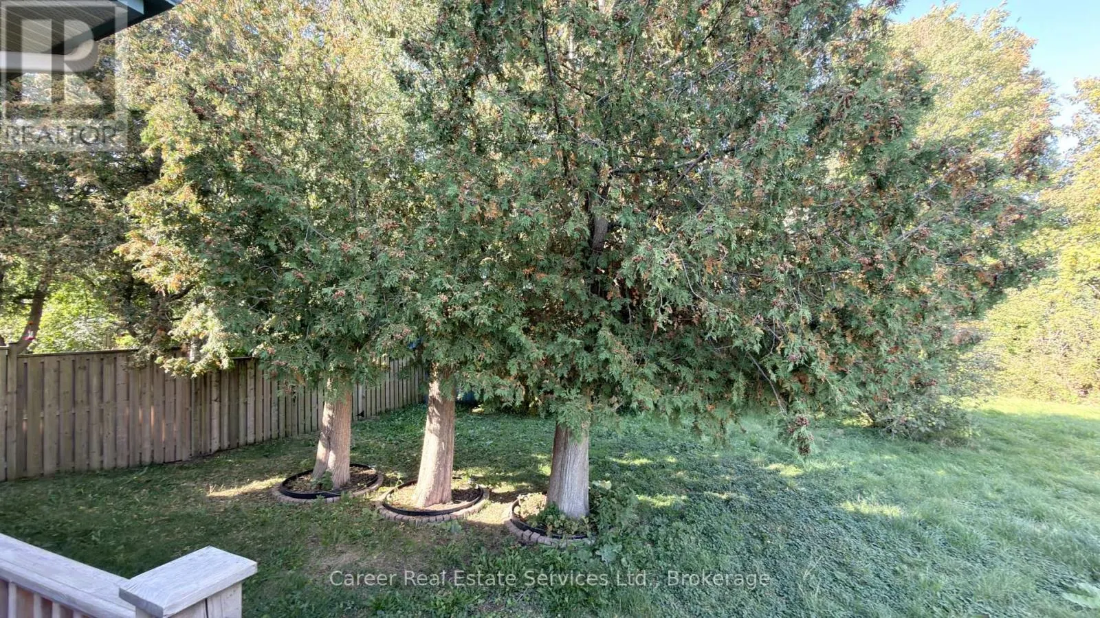 995 CEDAR STREET