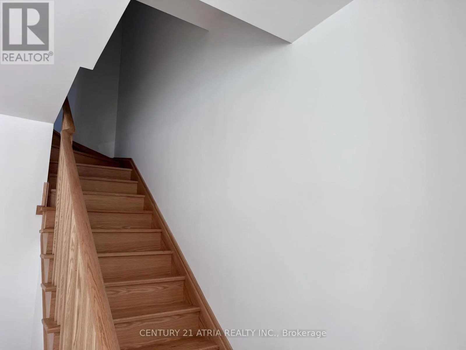 28 ALPINE SYMPHONY PATH