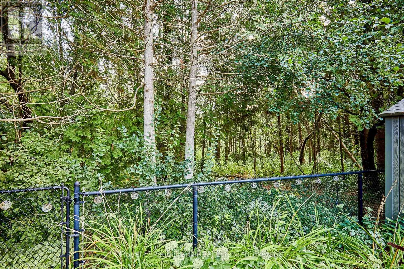 78 BEACHGROVE CRESCENT