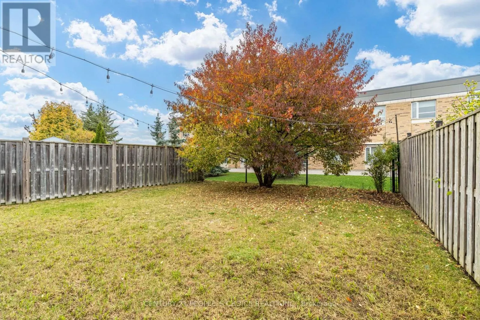 11 SEARELL AVENUE