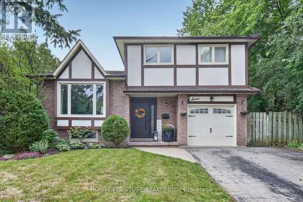 7 TOMS COURT