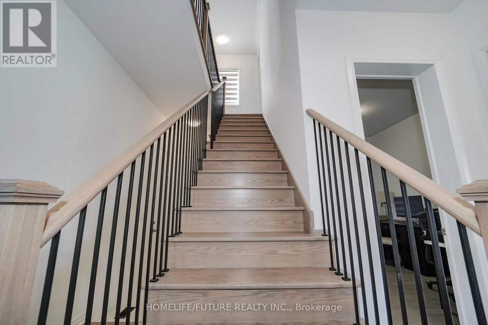 117 DEER RIDGE CRESCENT