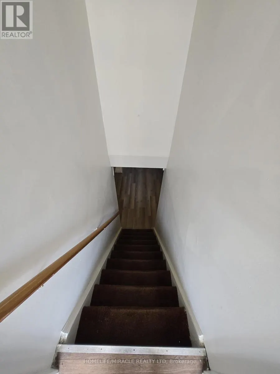 BASEMENT - 44 STALEY TERRACE