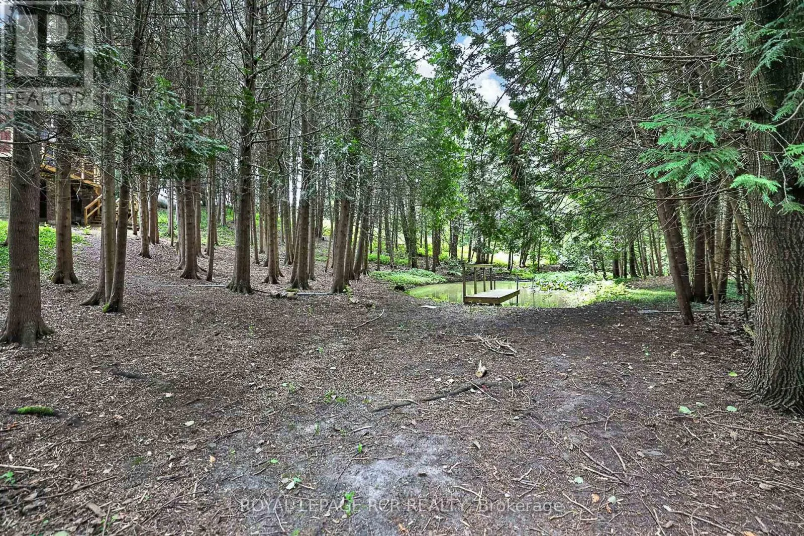 502 TOWNLINE ROAD
