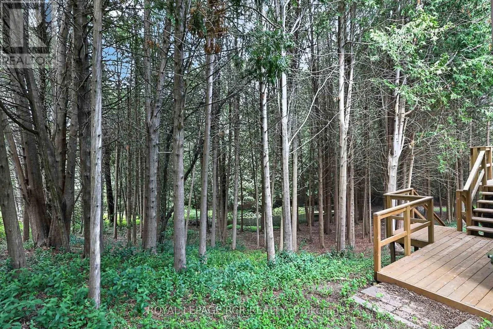 502 TOWNLINE ROAD