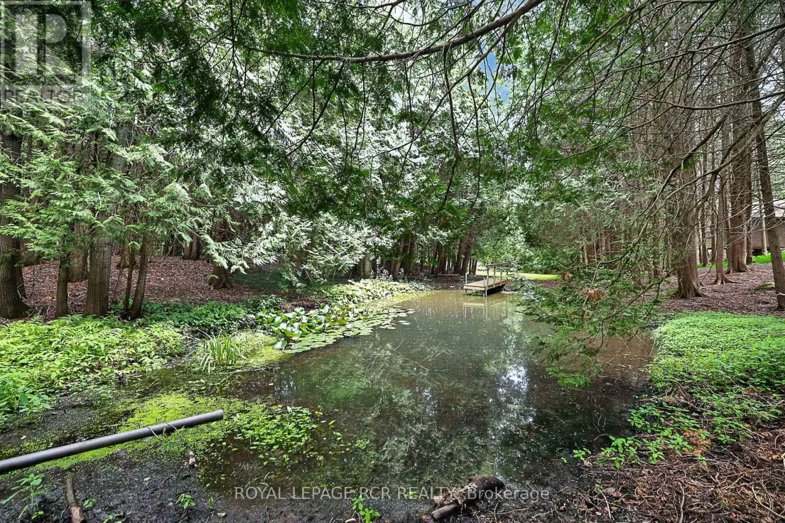 502 TOWNLINE ROAD