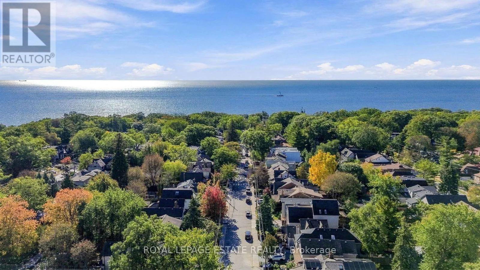81 COURCELETTE ROAD