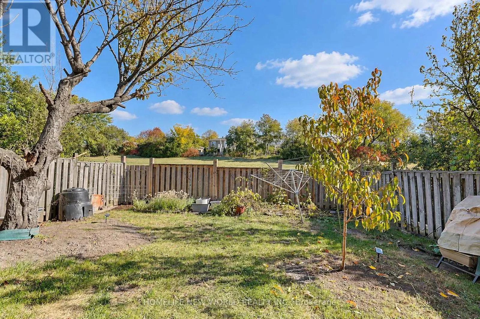 23 SHEPMORE TERRACE