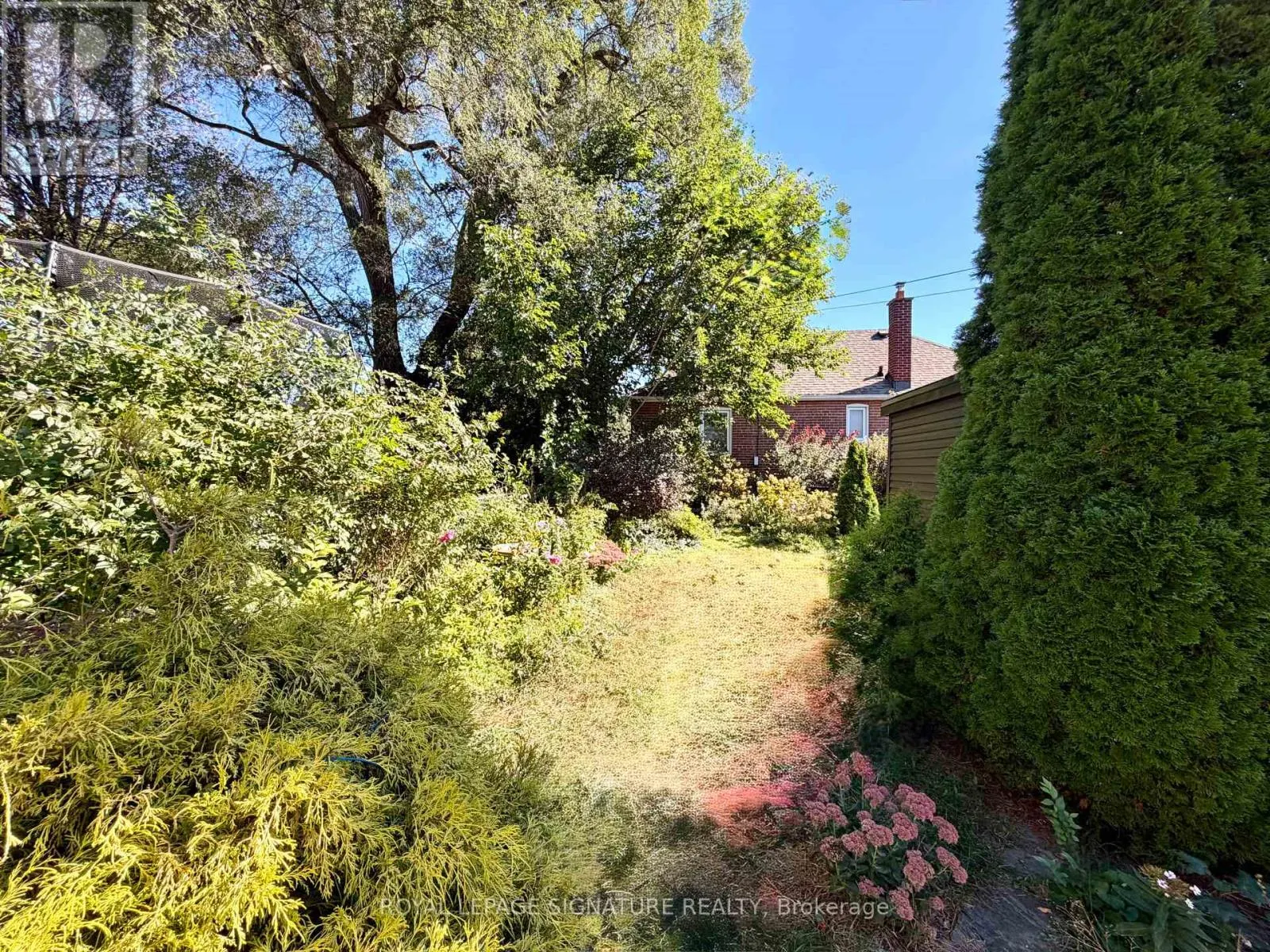 LOWER - 293 GLEBEMOUNT AVENUE
