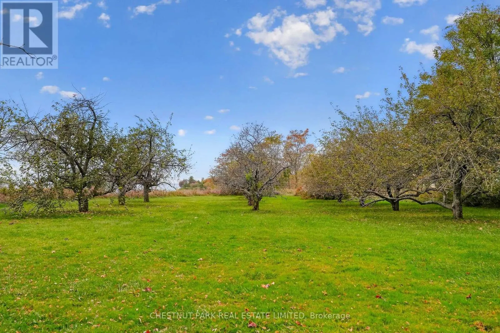 3797 LAKESHORE ROAD