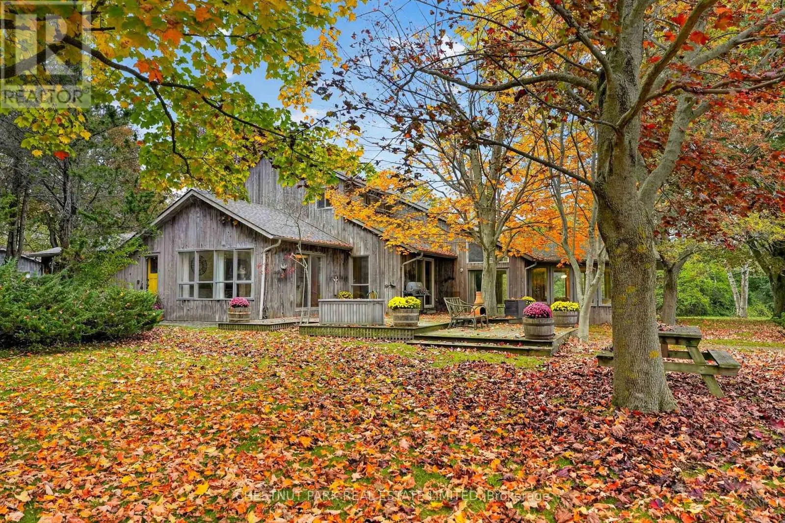 3797 LAKESHORE ROAD